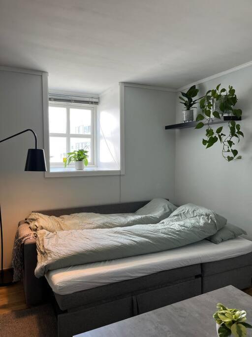 Cozy Ground Floor Apartment Tromsø Exteriér fotografie