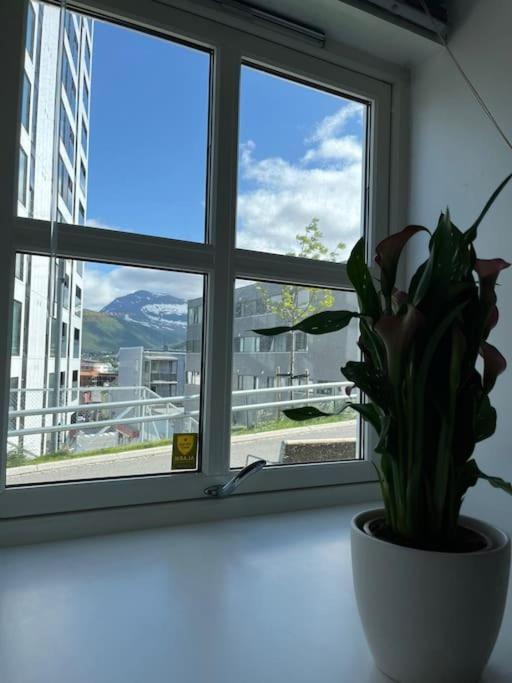 Cozy Ground Floor Apartment Tromsø Exteriér fotografie