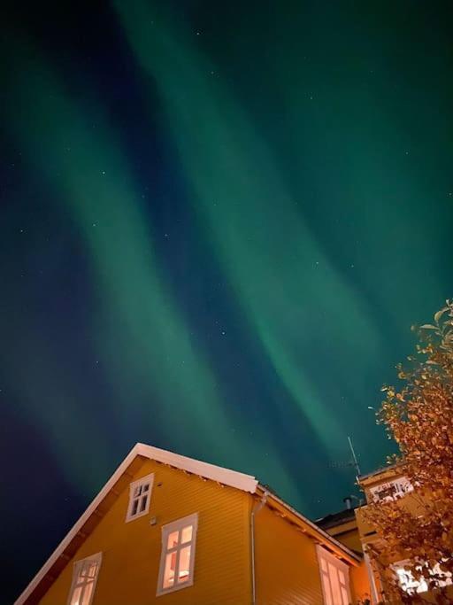 Cozy Ground Floor Apartment Tromsø Exteriér fotografie