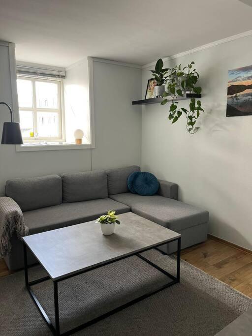 Cozy Ground Floor Apartment Tromsø Exteriér fotografie