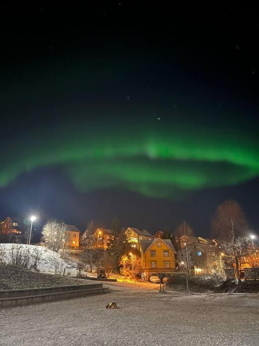 Cozy Ground Floor Apartment Tromsø Exteriér fotografie