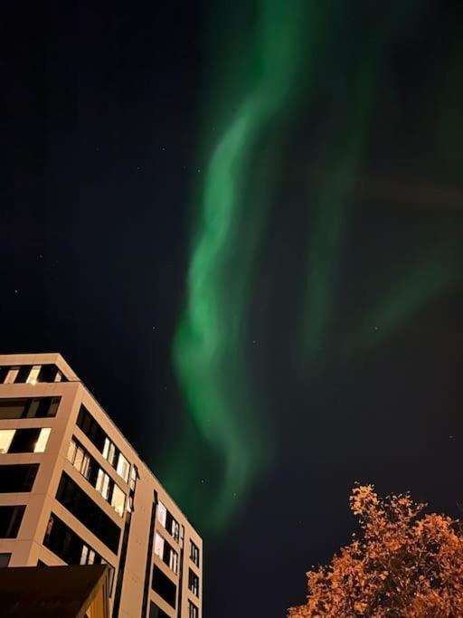 Cozy Ground Floor Apartment Tromsø Exteriér fotografie